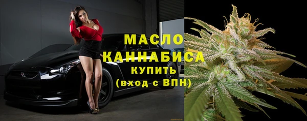 индика Абдулино
