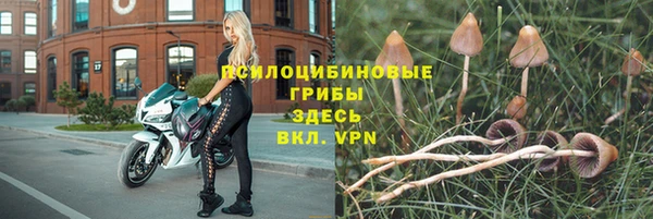 индика Абдулино