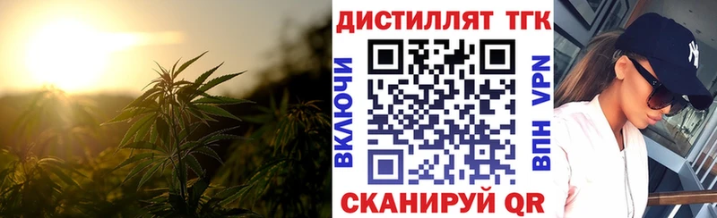 купить закладку  Шумерля  Дистиллят ТГК концентрат 